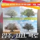[한국 문화] 절기로 만나는 한국의 이해 - 가을, 겨울 이미지