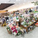 캔두코리아 이미지