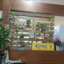 새궁전회관 이미지