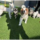 낙원유치원 이미지