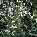 바보철물점 이미지