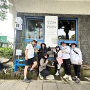 대천동 강정아왜낭목 | 제주 올레7코스 완주후기 주차 소요시간 코스안내
