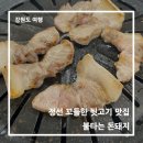 불타는 돈돼지