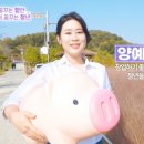 스톤 협동조합 이미지