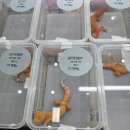 프루븐 | 2025년 11월 08일 대구 렙타일포럼 후기