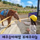 (주)성산렌트카 이미지