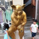 송스마켓 이미지