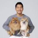 반려동물 훈련사 강형욱 논란