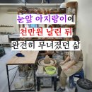 아지랑이 | 눈 앞에 아지랑이 현상 원인 알고도 할 수 있는 게 없었다