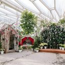 하얀정원 이미지