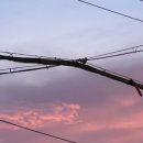 2022 직업상담사 - 이론 - 직업상담학 이미지