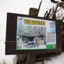 윌컴 Daum카페