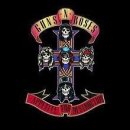 Guns N' Roses - Sweet Child O' Mine 이미지