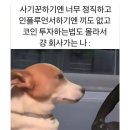 사기꾼하기엔 넘 정직하고 인플루언서 하기엔 끼도없는 얼레벌레 일상