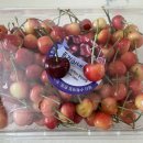 동건농장 이미지