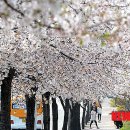 북한산로 이미지