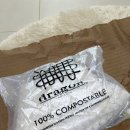 드래곤디퓨전 산타크로체 화이트 스몰 솔직 후기! 장점+ 단점