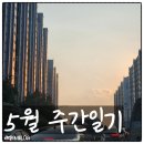 온 누리에 생명의 소리가 가득 차 넘치는 6월을 기대하며