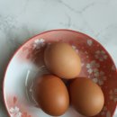 참참마트 이미지