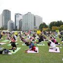 힐링 요가[오후] 이미지