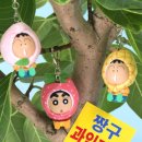 짱구과일
