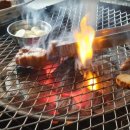 여우사이 이미지