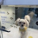 메이 동물병원 이미지