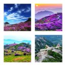 5월 10일[제2,121차] 경남 합천군 황매산(1108m) 철쭉 산행 안내 이미지