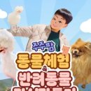 고양이카페38.5 이미지