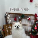 진이네 강아지풀 이미지