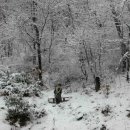 계절그리기 이미지