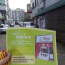 미용하는 퍼피마미 이미지