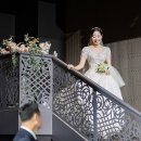 영희의 정원 이미지