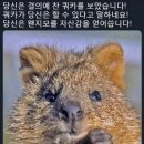 영어회화 첫걸음 이미지