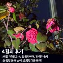 화랑건강원 - 진천군 남산7길 3 | [4월] 생일입니다