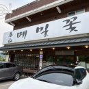새싹회관썬끌라뮤 | [공주 맛집] 시원하고 새콤달달한 막국수가 유명한 웨이팅 맛집, 춘산메밀꽃