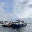 뉴행운성인게임랜드 | [서귀포유람선]제주도서귀포갈만한곳! 제주투어패스 무료탑승(업체유선예약)