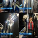 ＜＜통영 뉴명륜호 14인승＞＞ 왕갈치 쿨러조황^^ (예약문의 ***-****-****) 이미지