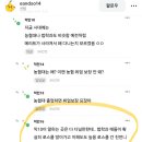 인스티즈 뭔 개소리냐 로스쿨을 뭔 법학과가 많이가 이미지