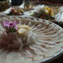 울산횟집 이미지