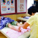 사랑의 뜰안 이미지