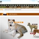 안양로258번길 이미지