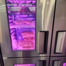 주정차단속-113 이미지