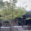 여주현 : 동천_감성숙소펜션 이미지