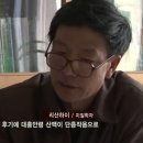 천산주 이미지