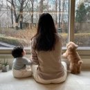 (주)영웅운수 이미지