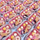 양양 태권도장 이미지