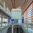북경차이나 | 북경->김해공항 에어차이나 기내식 후기 (베이징 서우두 국제공항)