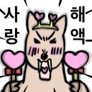 코앤츄 네이버블로그