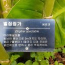 과일원